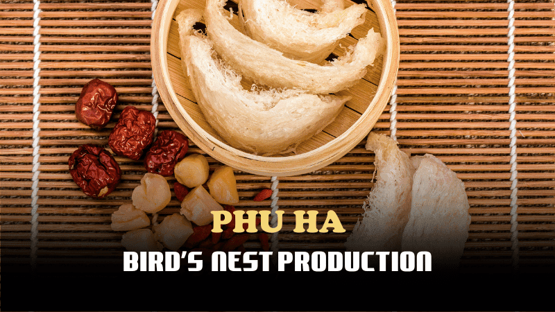 Bird’s Nest Production Service